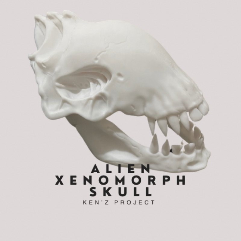 Jual Alien Xenomorph Skull - Pajangan, Action figure, koleksi | Shopee ...