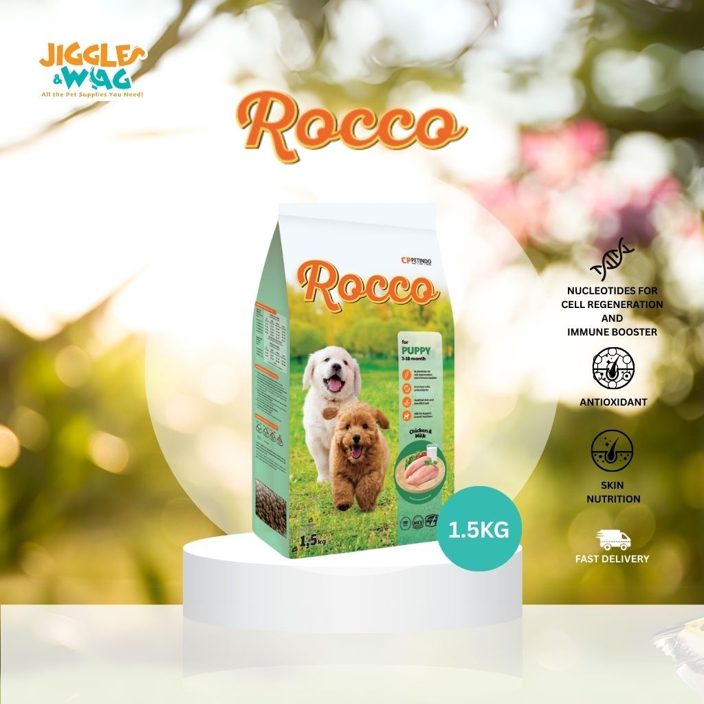 Jual Rocco dog puppy 1.5kg | Shopee Indonesia