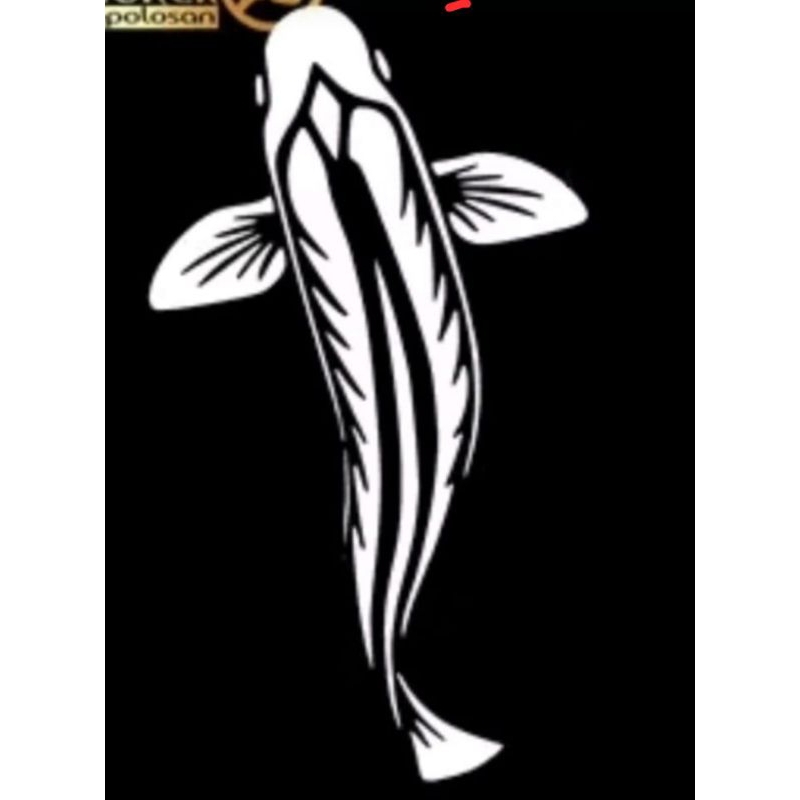 Jual STICKER IKAN STICKER HIAS AQUARIUM UKURAN 15CM | Shopee Indonesia