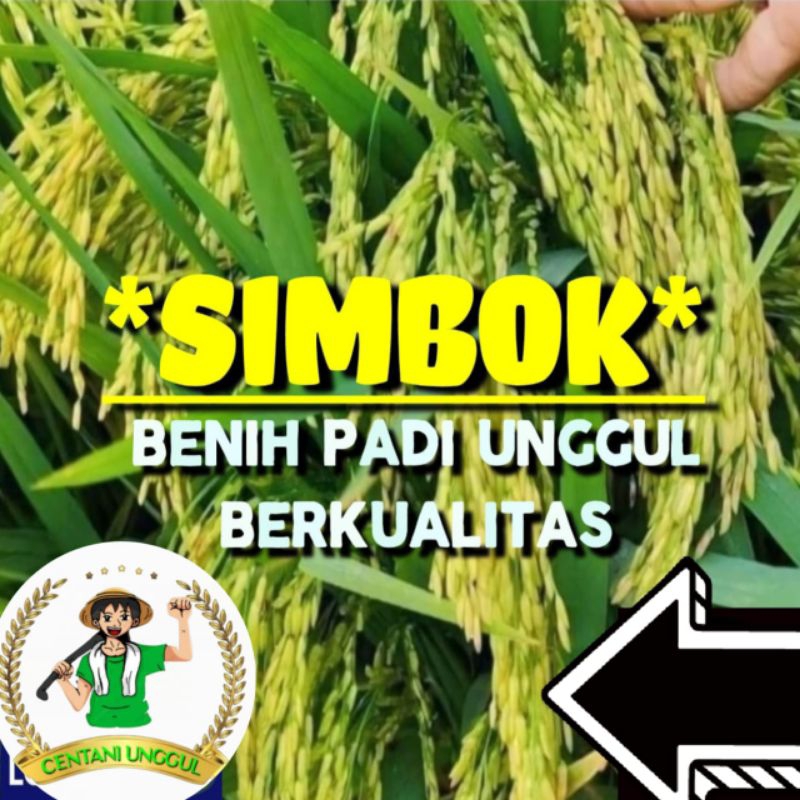 Jual BENIH PADI SIMBOK SUPER IN HIBRIDA KEMASAN 5KG | Shopee Indonesia