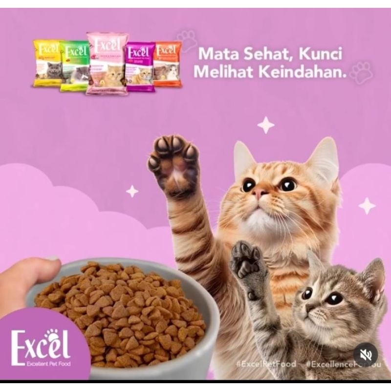 Jual (ISI 10 PACK) Excel Kitten & Mother Excel Cat Food Makanan Kucing ...