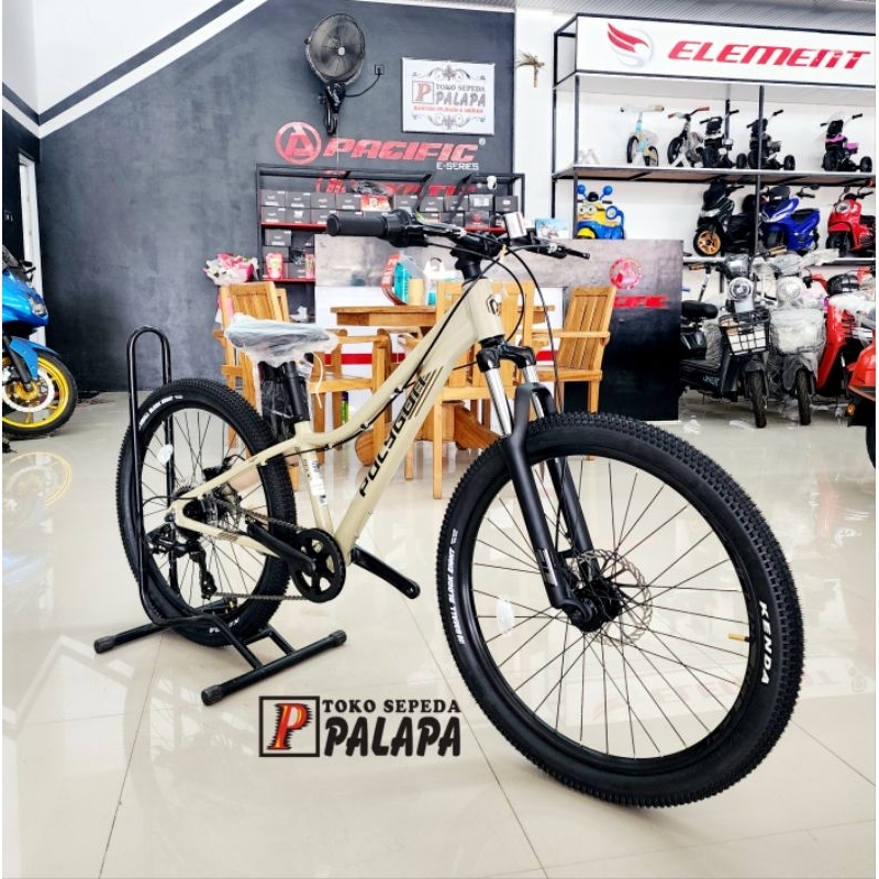 Jual MTB 24 POLYGON RELIC NEW Sepeda Gunung Anak | Shopee Indonesia