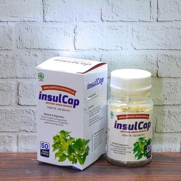 INSULCAP 50 Kapsul Obat Herbal Diabetes Dan Kencing manis