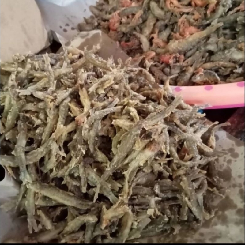 Jual Ikan Uceng Terlengkap & Harga Terbaru Juli 2026 | Shopee Indonesia