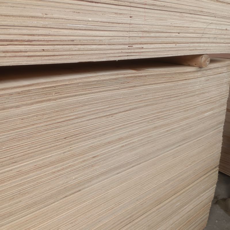 Jual Triplex Plywood Triplek Lembaran MC Albasia 122x244cm 3mm 4mm 6mm ...