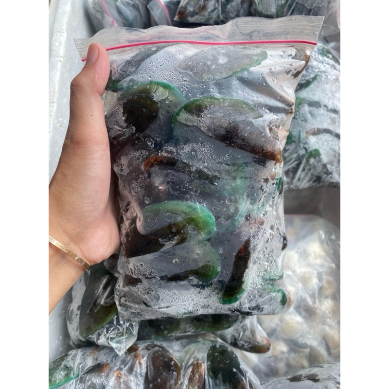 Jual Kerang Hijau Fresh Ukuran 1kg – Segar & Siap Masak | Shopee Indonesia