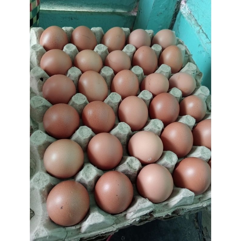 Jual Telur Ayam Ras / Telur Ayam Negeri 1 Kg | Shopee Indonesia