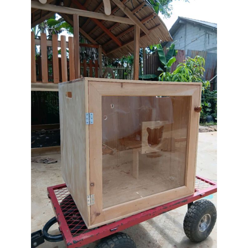 Jual box kucing/kandang kucing UK 60*60*60 | Shopee Indonesia