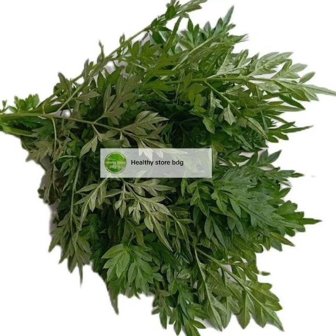 Jual Daun kenikir atau raramidang segar 500 gram | Shopee Indonesia