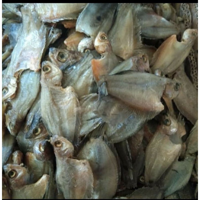 Jual Ikan Asin Sepat Kecil / Ikan Asin Sepat / sepat curai / sepat ...