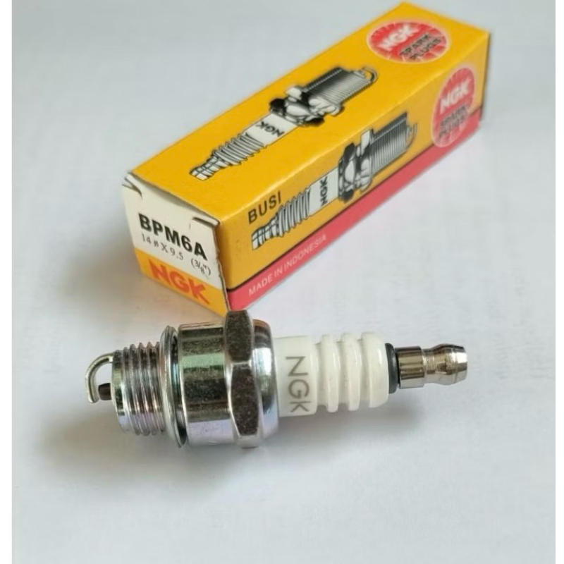 Jual BPM6A busi NGK untuk potong rumput dan senso | Shopee Indonesia