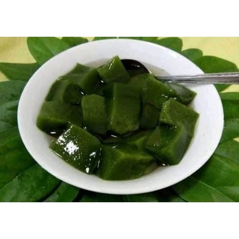 Jual Bibit Cincau Rambat Murah | Shopee Indonesia