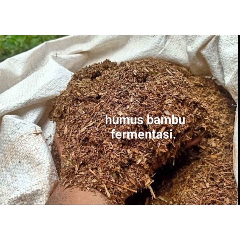 Jual HUMUS BAMBU HALUS TERFERMENTASI (ISI 5 LITER) SIAP PAKAI. | Shopee ...