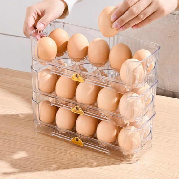 Jual EGI EGG RACK KOTAK PENYIMPANAN TELOR / TEMPAT TELUR 10 SEKAT / BOX ...