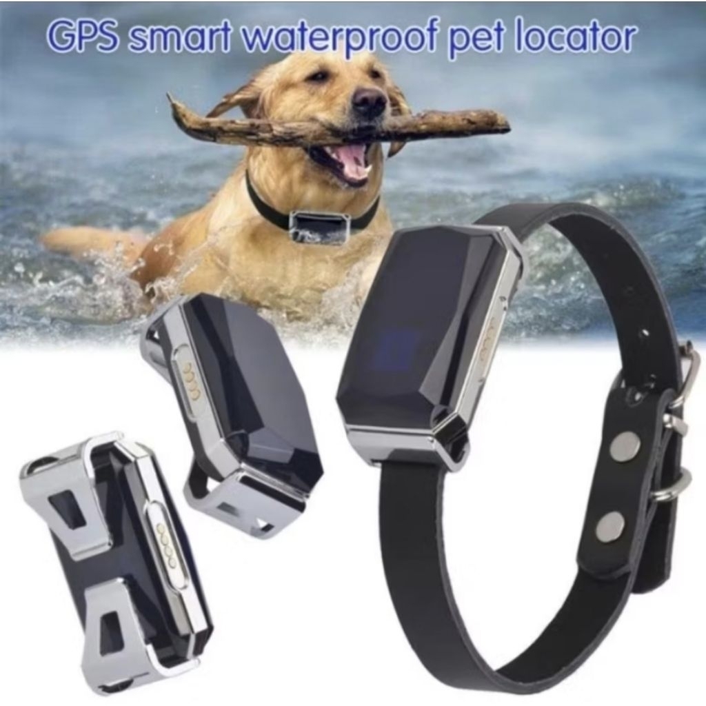 Photo inspiration: Fresh Look at Jual G12 Gps Pet Tracker High Accuracy Waterproof For Cat