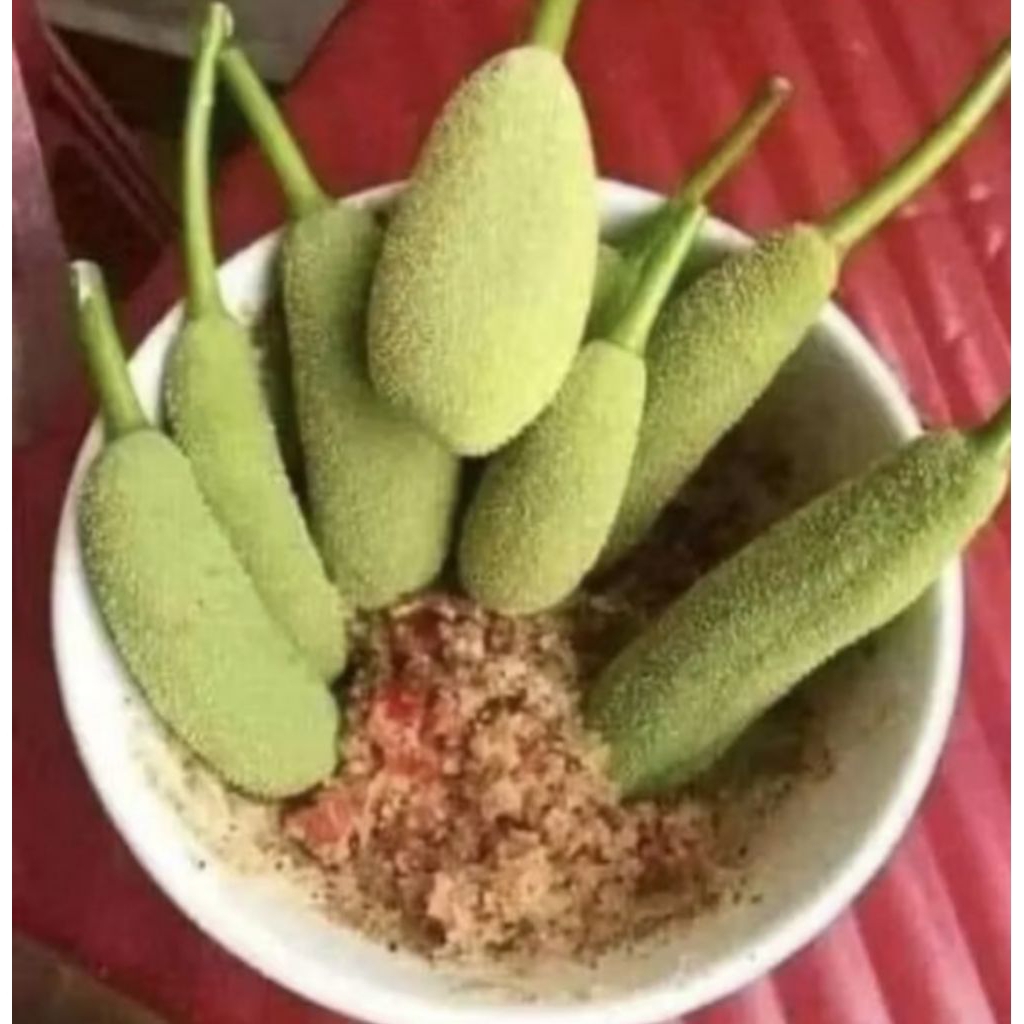 Jual BUAH NANGKA MUDA 3 PCS, NANGKA MUDA FRES #NANGKA BABAL | Shopee ...