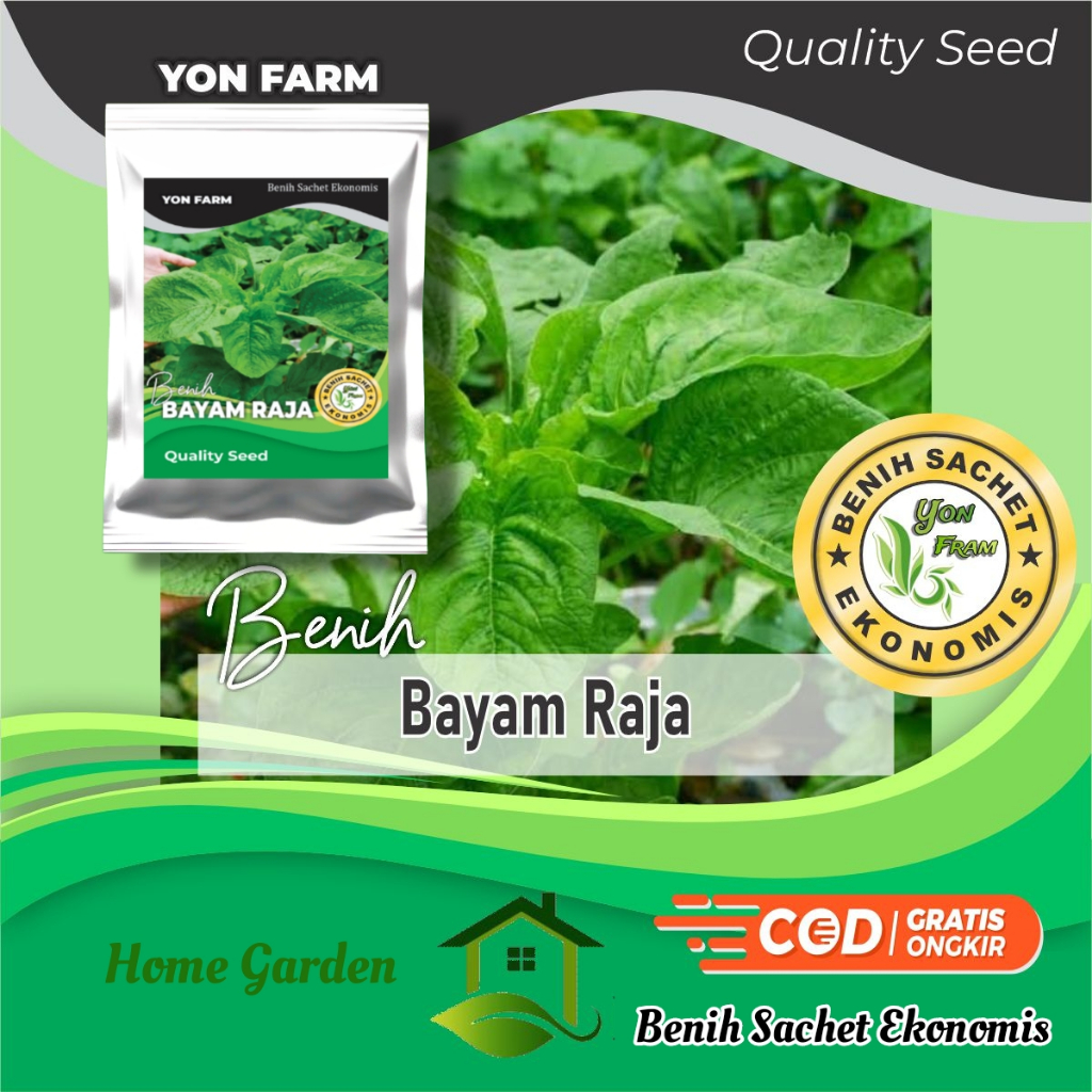 Jual YON FRAM Benih Bayam Raja Daun Lebar Bayam Petik Kemasan Sachet ...