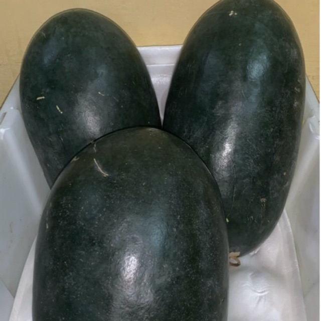 Jual semangka Inul lonjong manis(1kg) | Shopee Indonesia