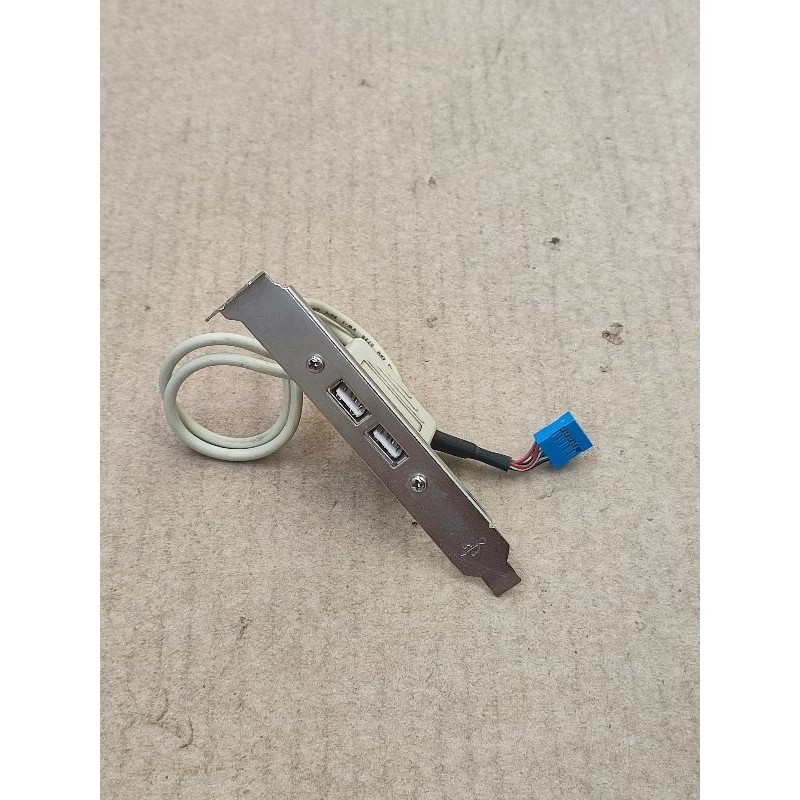 Jual USB Tambahan 2 Port Untuk Casing PC ke pin usb motherboard ...