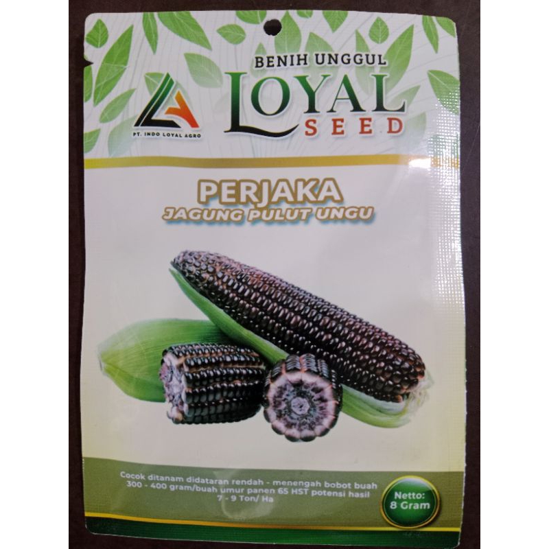 Jual Rumah Perjaka Terlengkap & Harga Terbaru Juli 2026 | Shopee Indonesia