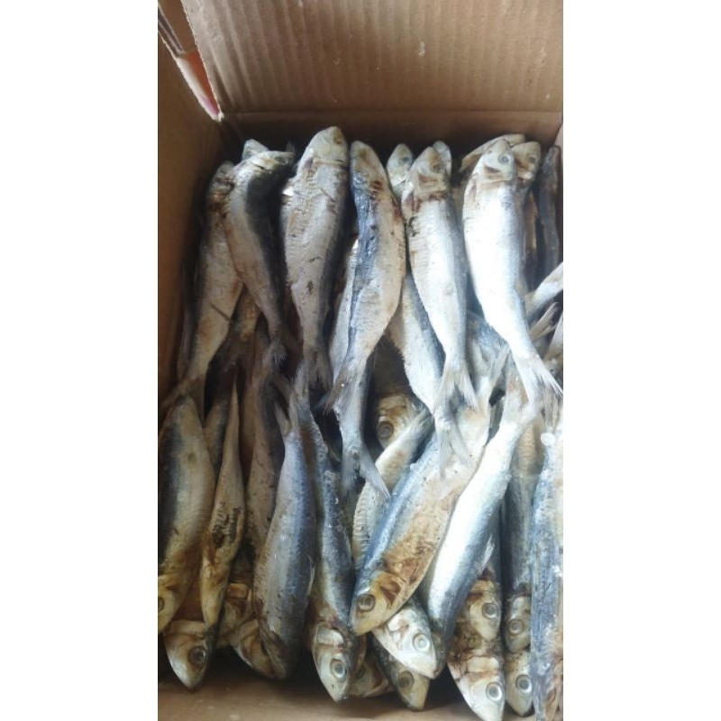 Jual Ikan Asin Japuh Terlengkap & Harga Terbaru Juli 2026 | Shopee ...
