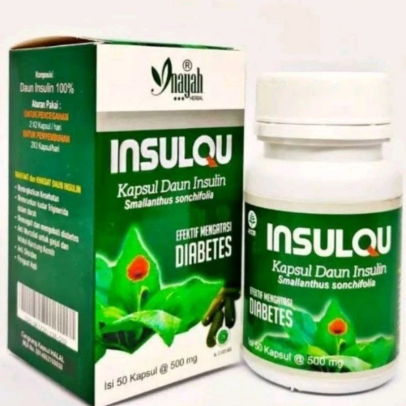 INSULQU INayah Herbal Kapsul Daun INsulin Atasi Diabetes Anti Oksidan Isi 50 Kapsul 500mg Halal Bpom