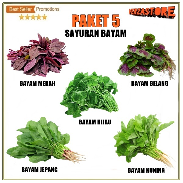 Paket 5 Macam Benih Bayam Sayuran Unggul