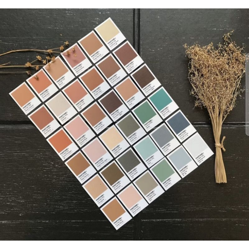 Jual Pantone Sticker Soft and Dark Colour | Shopee Indonesia