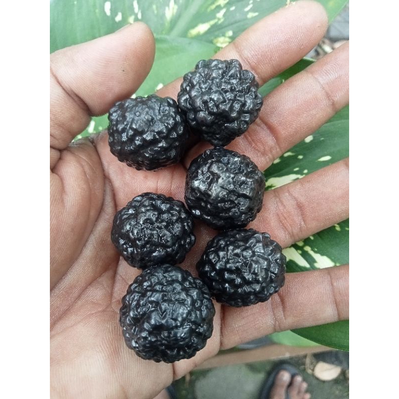 Jual Batu Badar besi purut pilihan bulat alam | Shopee Indonesia