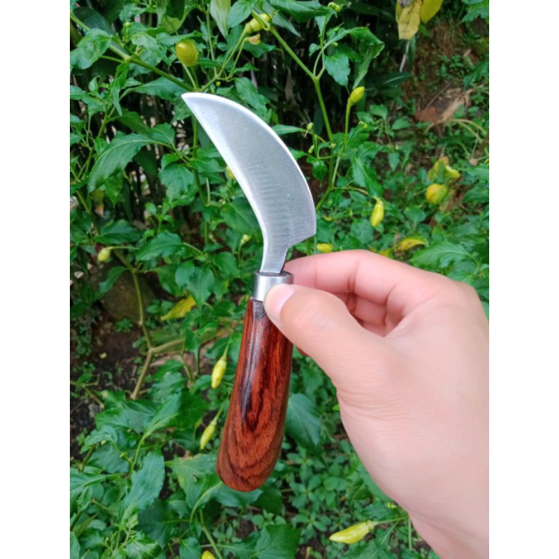Jual Pisau Raut Ukir Ukuran Kecil Untuk Kerajinan Kayu Dan Bambu Siap ...