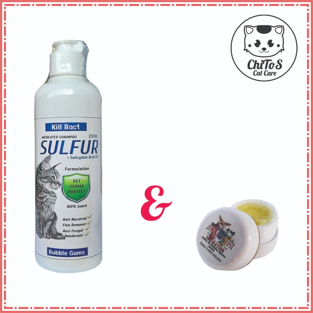 Jual Paket Shampo Kucing Kill Bact Sulfur Anti Jamur Kutu 250ml dan ...