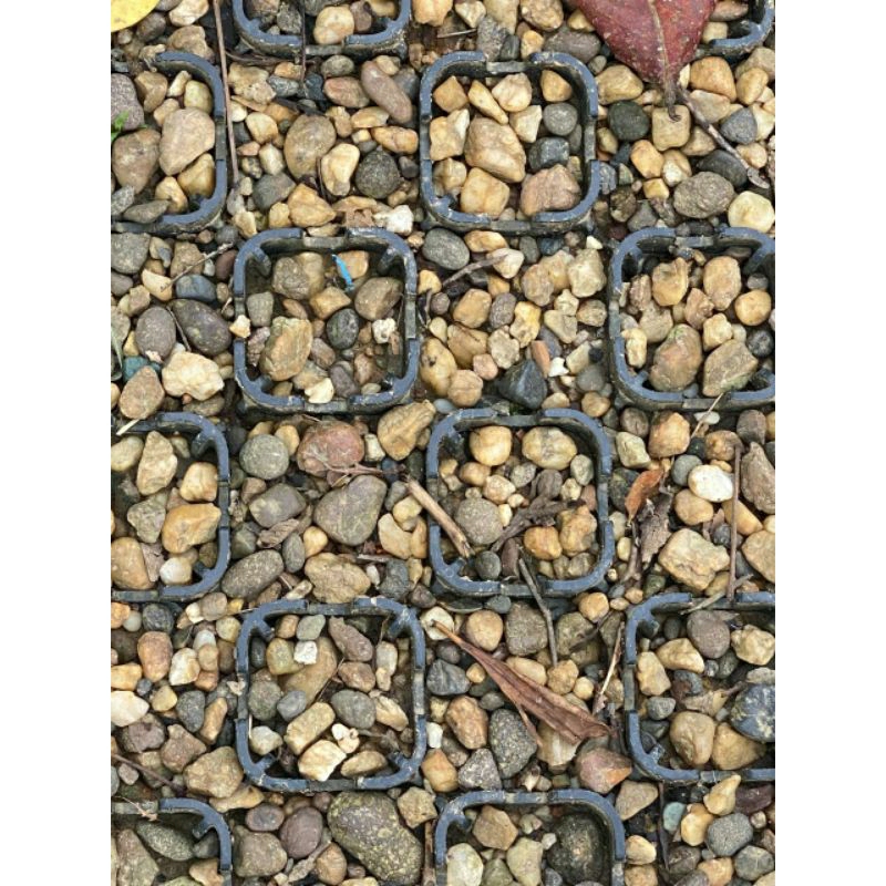 Jual TurfPave | Shopee Indonesia