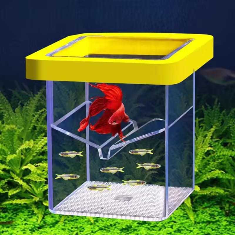 Jual Breeding Box / Karantina Ikan Guppy Platy Swordtail Kualitas ...