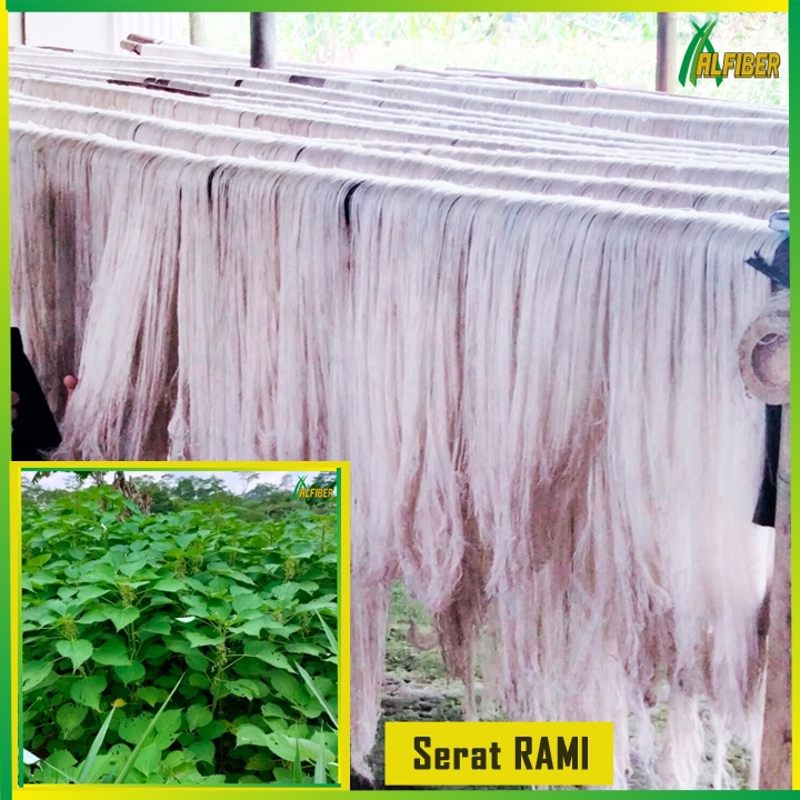 Jual SERAT RAMI Serat Alam Serat Alfiber Serat Pohon Rami Serat Alami ...