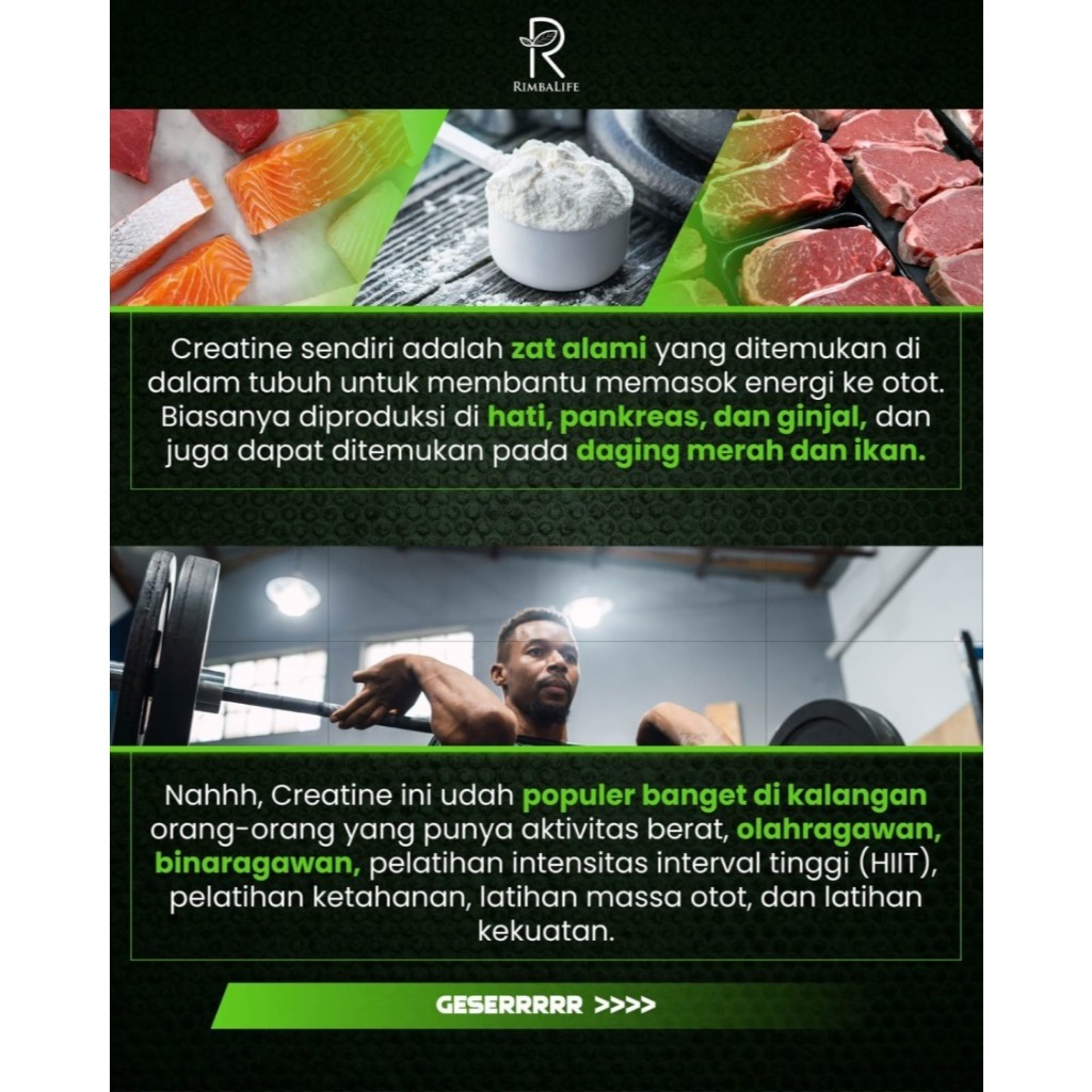 Jual RIMBALIFE Rimba Cre 300 gr 60 serving RimbaCre Creatine ...