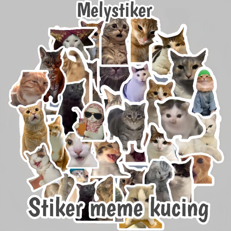 Jual STIKER MEME KUCING LUCU | Shopee Indonesia