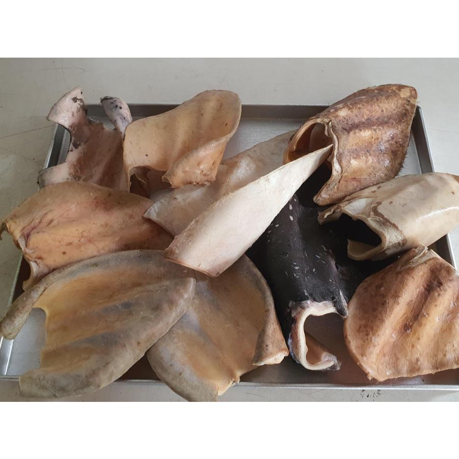 Jual KUPING, TELINGA SAPI / COW EAR | Shopee Indonesia