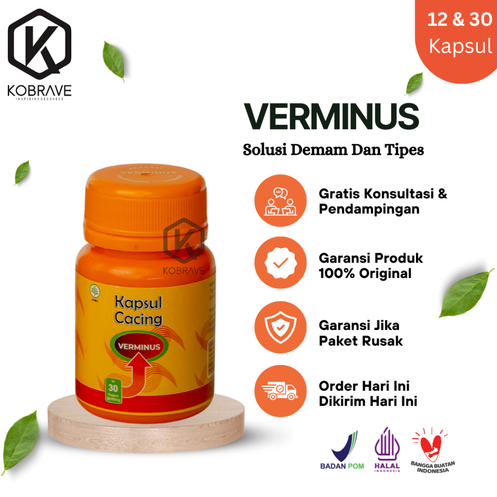 Jual Kapsul Verminus Ekstrak Cacing Tanah Obat Demam Berdarah Tipes Dan ...