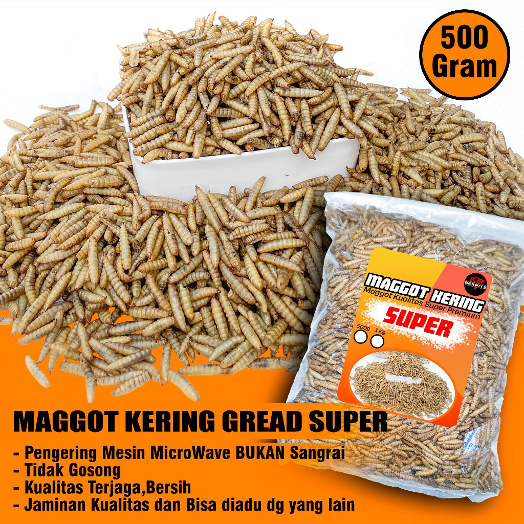 Jual BERRITZ Maggot Kering Bsf Gread Super 500g Pakan ikan,Reptil,kura ...