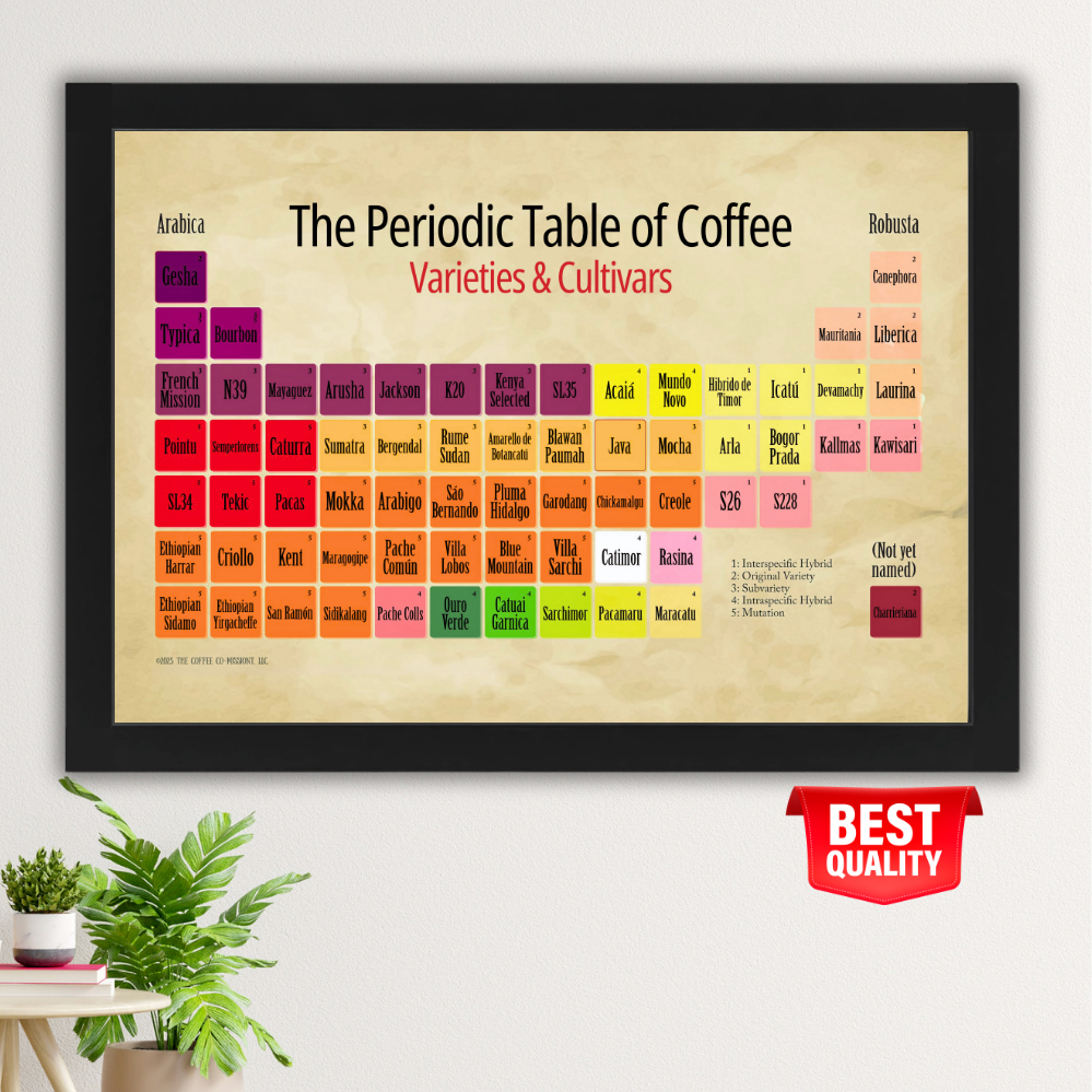 Jual Specialty Coffee Periodic Table Chart A2 — Global Coffee Varieties ...