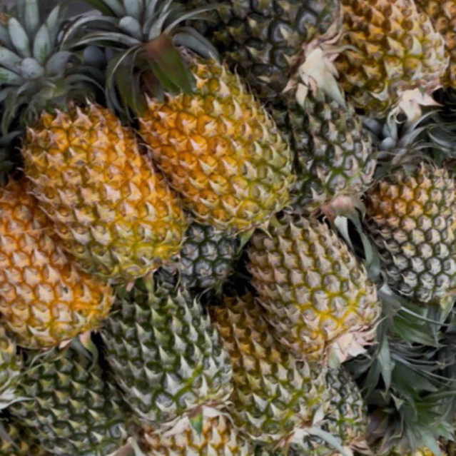 Jual Nanas Blitar