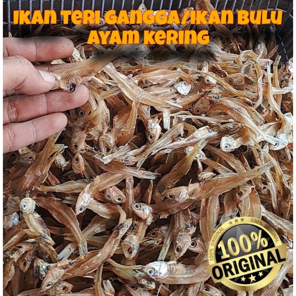 Jual IKAN ASIN BULU AYAM/TERI GANGGA | Shopee Indonesia