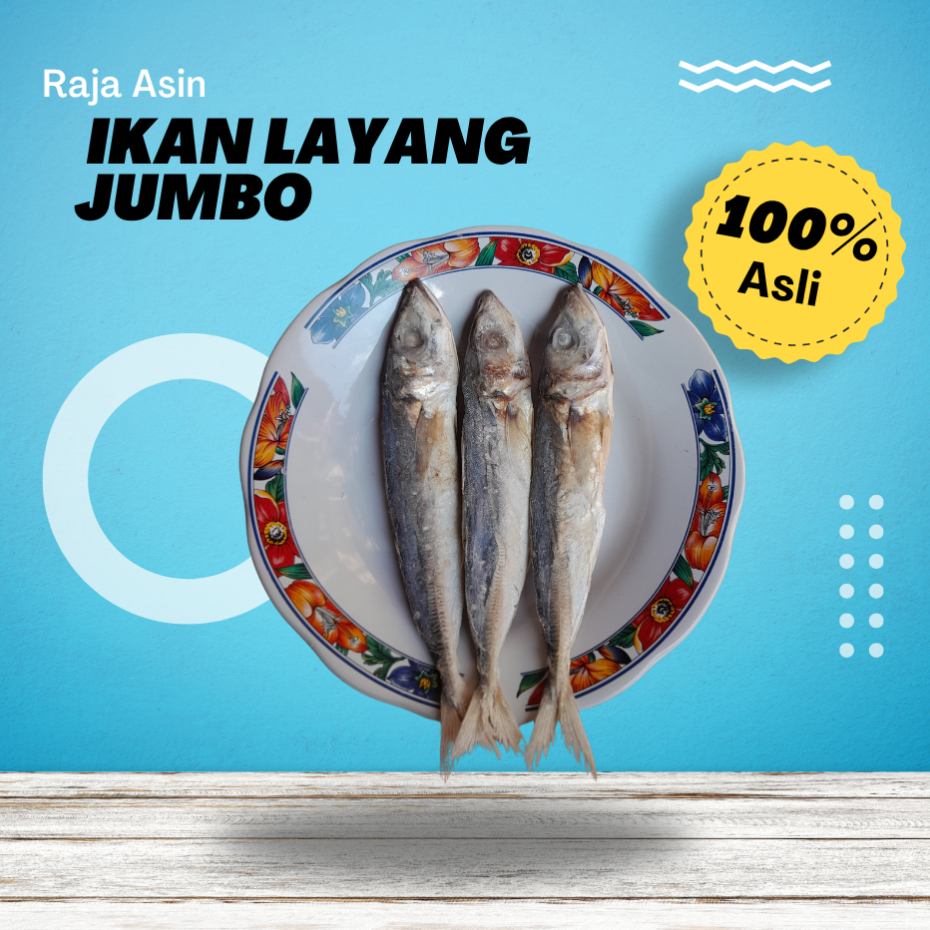 Produk RAJA IKAN ASIN | Shopee Indonesia