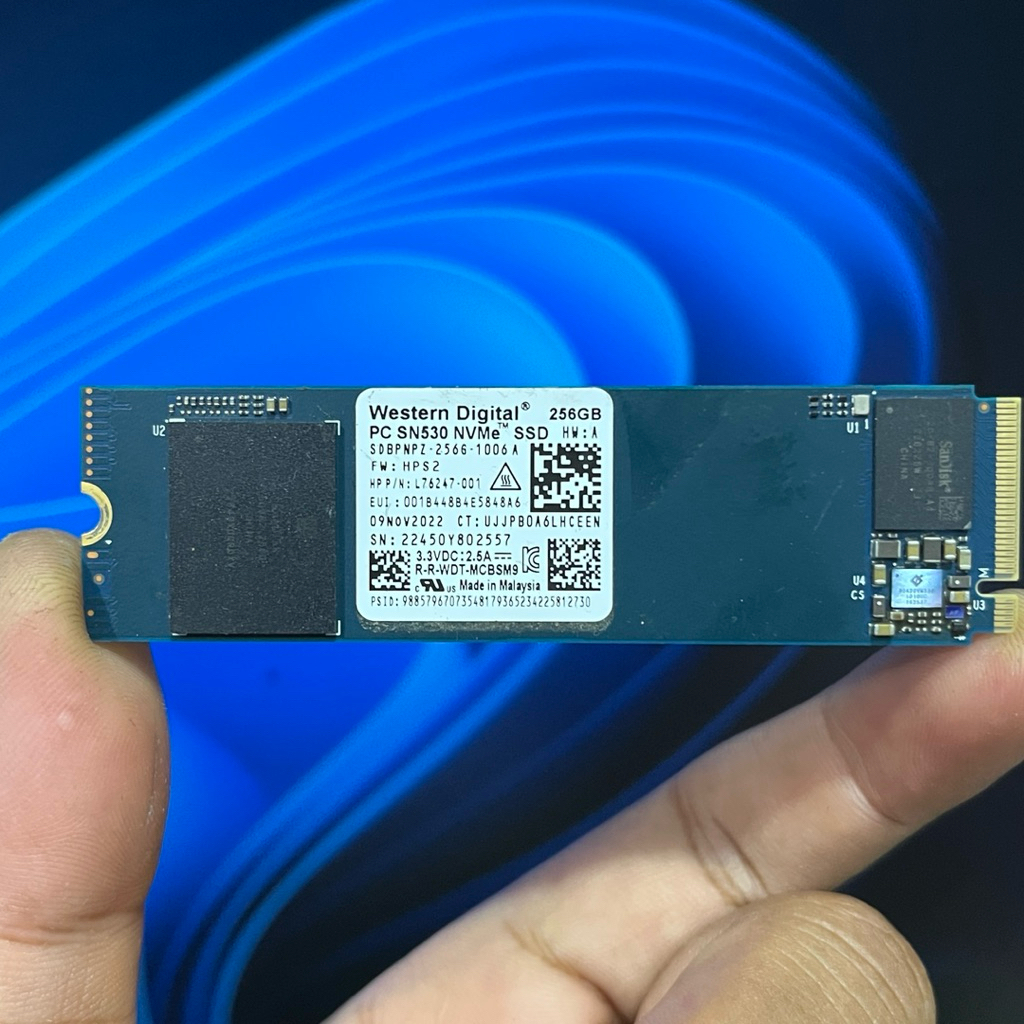 Jual SSD M.2 NVME WD 256GB SENTINEL 100% | Shopee Indonesia