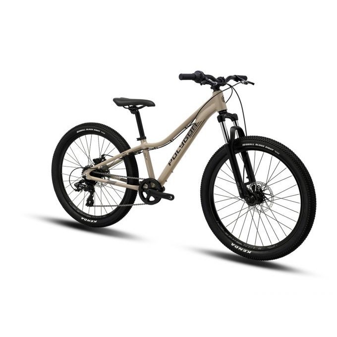Jual Polygon Sepeda Anak Mountain Bike MTB Junior Relic 24 | Shopee ...