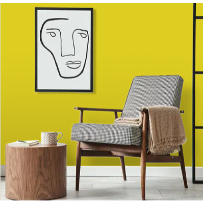 Jual KARGO WARNA TINTING Q-LUC GOLD CAT TEMBOK Q