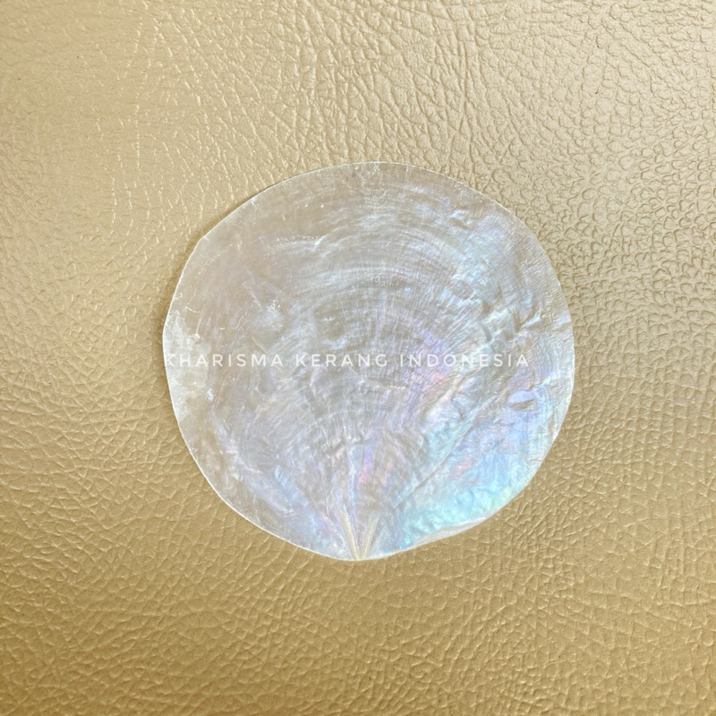 Jual Raw Pearl Capiz Shell Medium Cangkang Kerang Capiz Kulit Kerang ...
