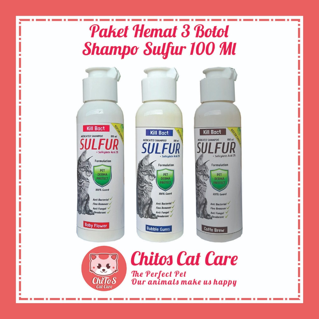 Jual PAKET HEMAT 3 BOTOL SHAMPO KUCING ANTI JAMUR DAN KUTU KUCING KILL ...