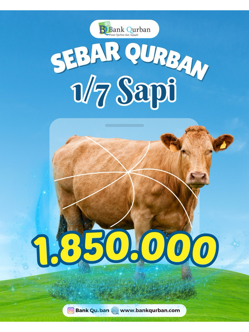 Jual Sebar Qurban 1/7 Sapi 2025 | Shopee Indonesia