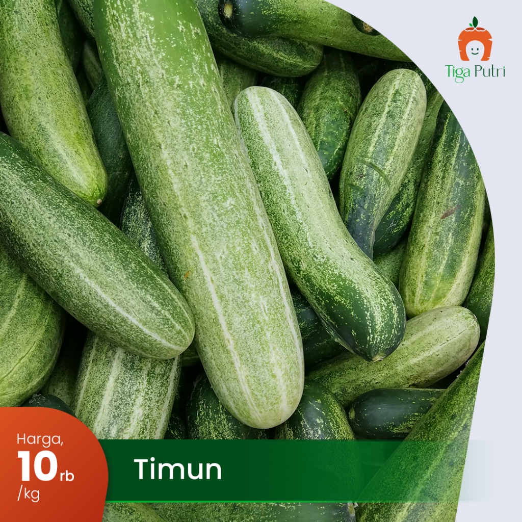 Jual Timun 1 Kg Terlengkap & Harga Terbaru Juli 2026 | Shopee Indonesia